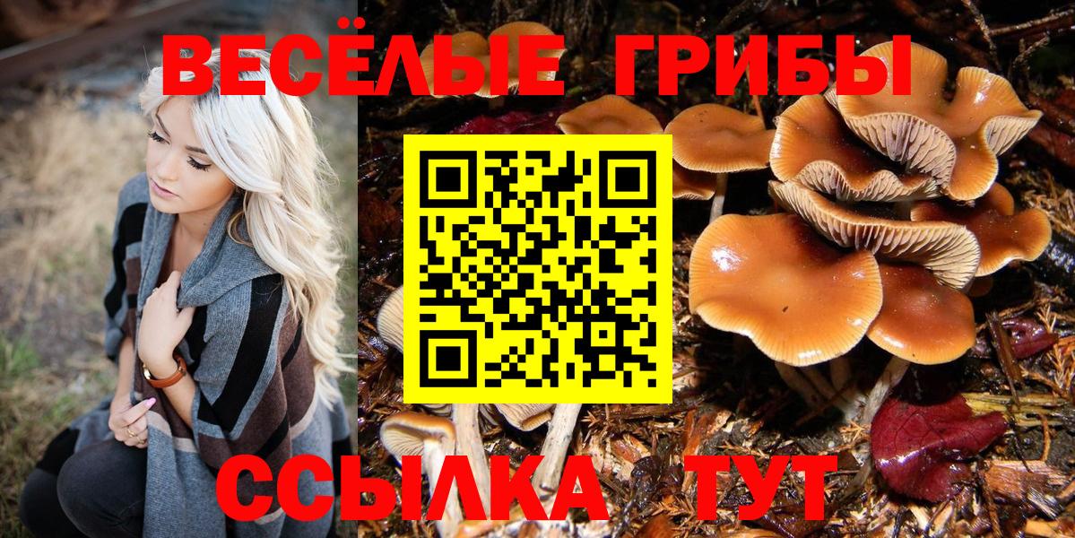 Псилоцибиновые грибы ЛСД  Вход с VPN  Улан-Удэ 